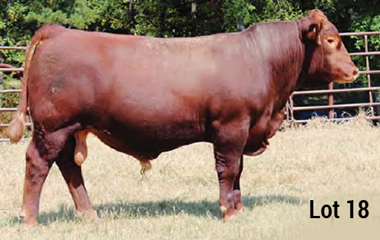 Lot 18 - TJB 914U MASTER PLAN 548C ET